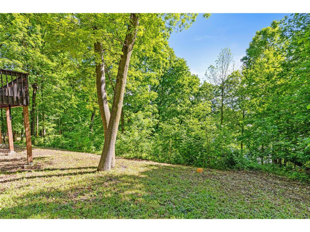 2595 86th Court W Webster Twp MN 55057 - Union Lake 7073384 image44