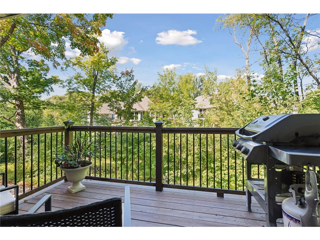 2595 Lydiard Circle Orono MN 55331 6795575 image16