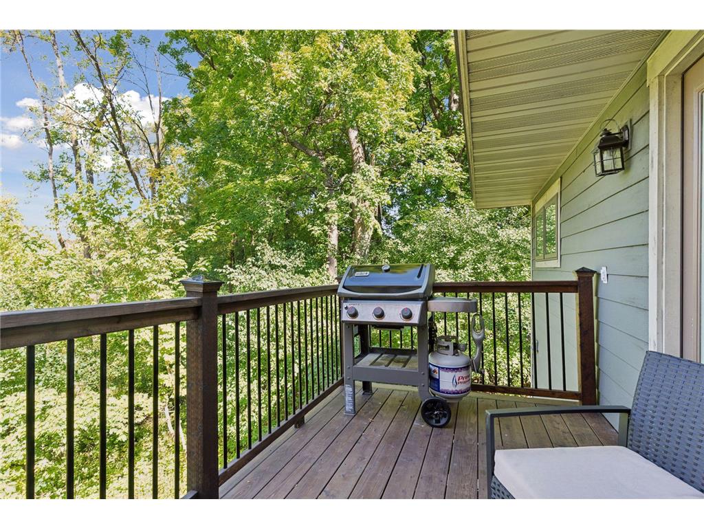 2595 Lydiard Circle Orono MN 55331 6795575 image17