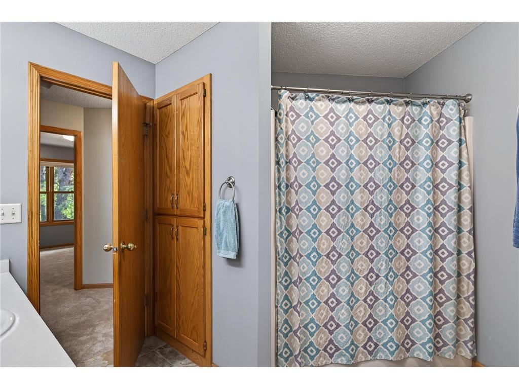 25955 Glen Oak Drive Wyoming MN 55092 7013427 image30