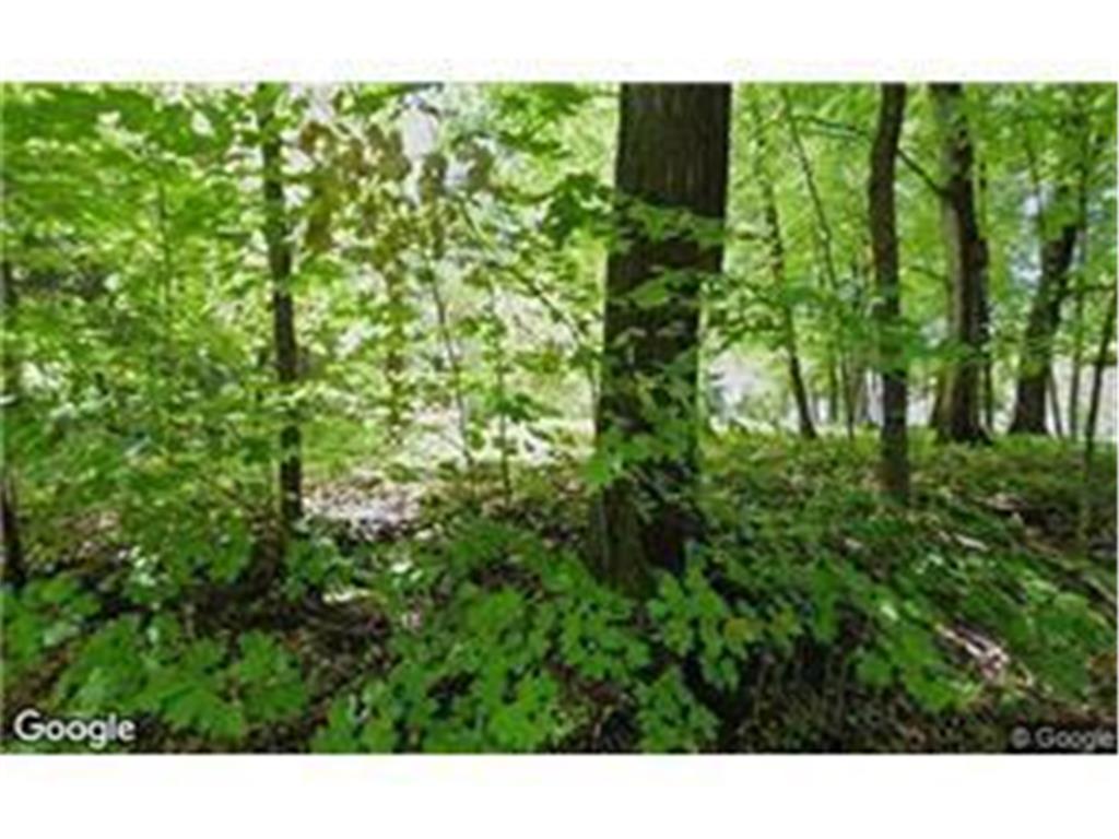 25975 Wild Rose Lane Shorewood MN 55331 7015097 image1