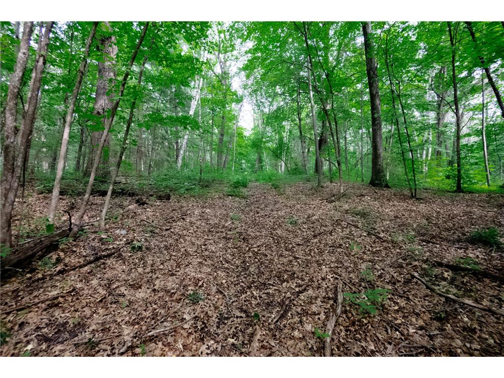 25xxx 112th Street NW Livonia Twp MN 55398 6558755 image1