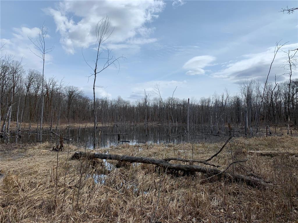 2555x 400th Ave. Height Of Land N Twp MN 56578 6453422 image1