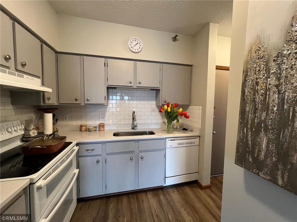 26 10th Street W #2003 Saint Paul MN 55102 6474933 image1