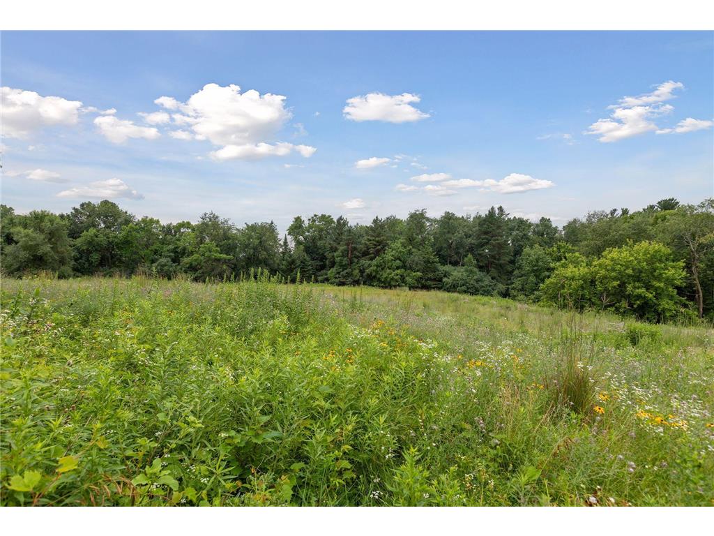 260 Salem Church Road Sunfish Lake MN 55118 6794821 image59