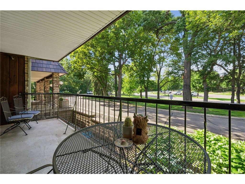 260 Westview Drive #108 West Saint Paul MN 55118 7080607 image17