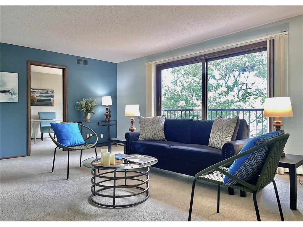 260 Westview Drive #308 West Saint Paul MN 55118 6553716 image1