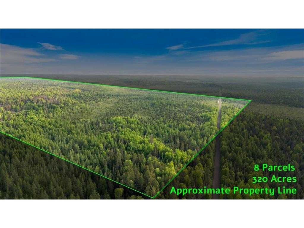 2600 Whyte Road Stony River Twp MN 55616 6740053 image1