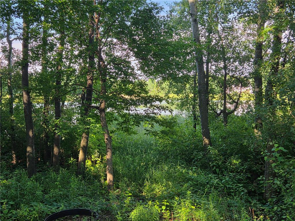 26006 10th Street W Zimmerman MN 55398 7095896 image12