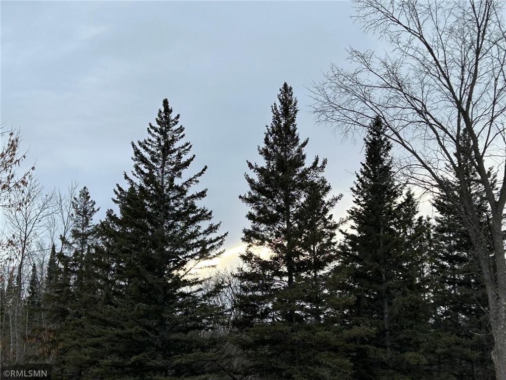 26024 Alvwood Road NE Summit Twp MN 56630 6822711 image4