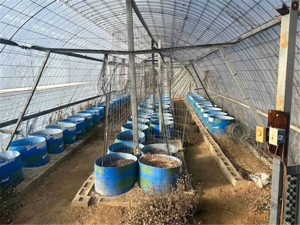 26070 County 9 Helga Twp MN 56601 6820403 image18