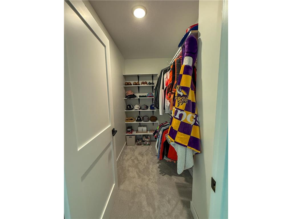 26085 Frank Hill Road Winona MN 55987 6773967 image21