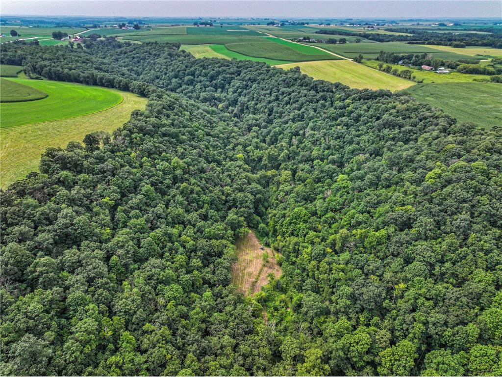 26085 Frank Hill Road Winona MN 55987 6773967 image53