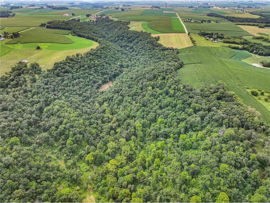 26085 Frank Hill Road Winona MN 55987 6773967 image54