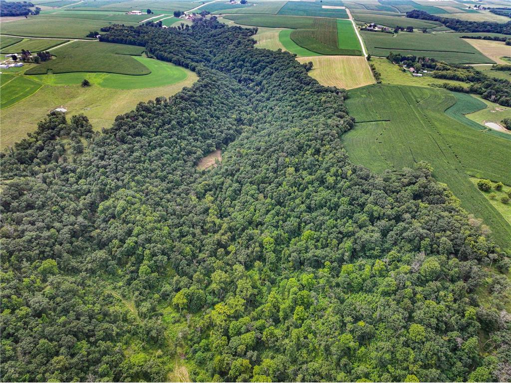 26085 Frank Hill Road Winona MN 55987 6773967 image55