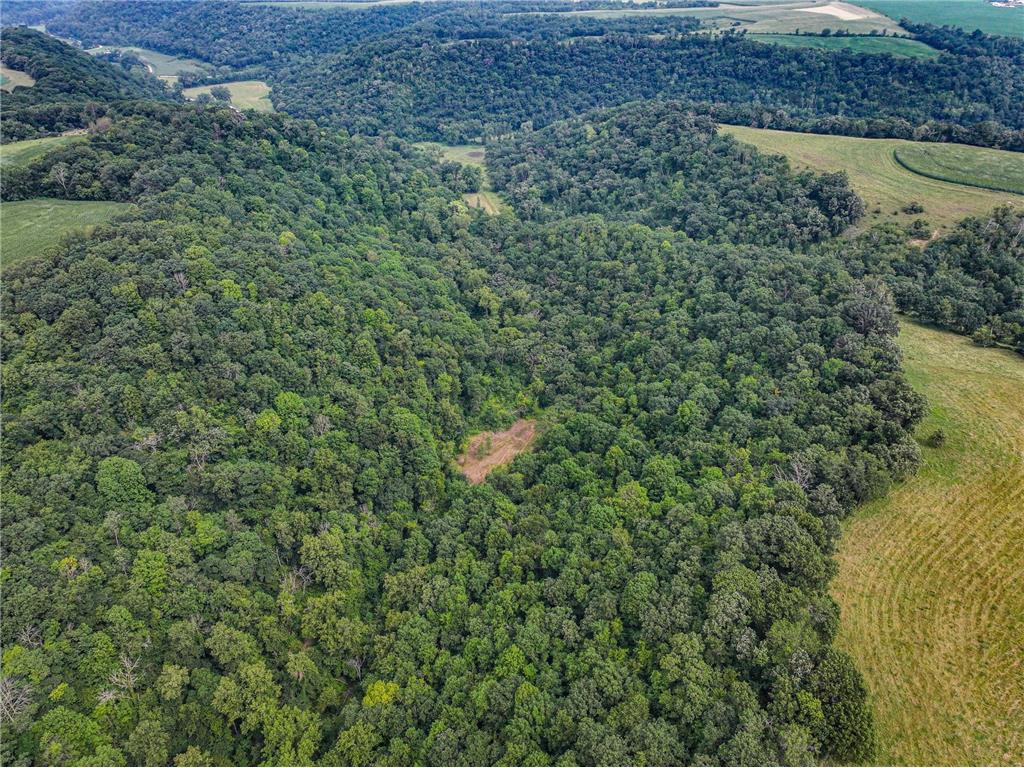 26085 Frank Hill Road Winona MN 55987 6773967 image56