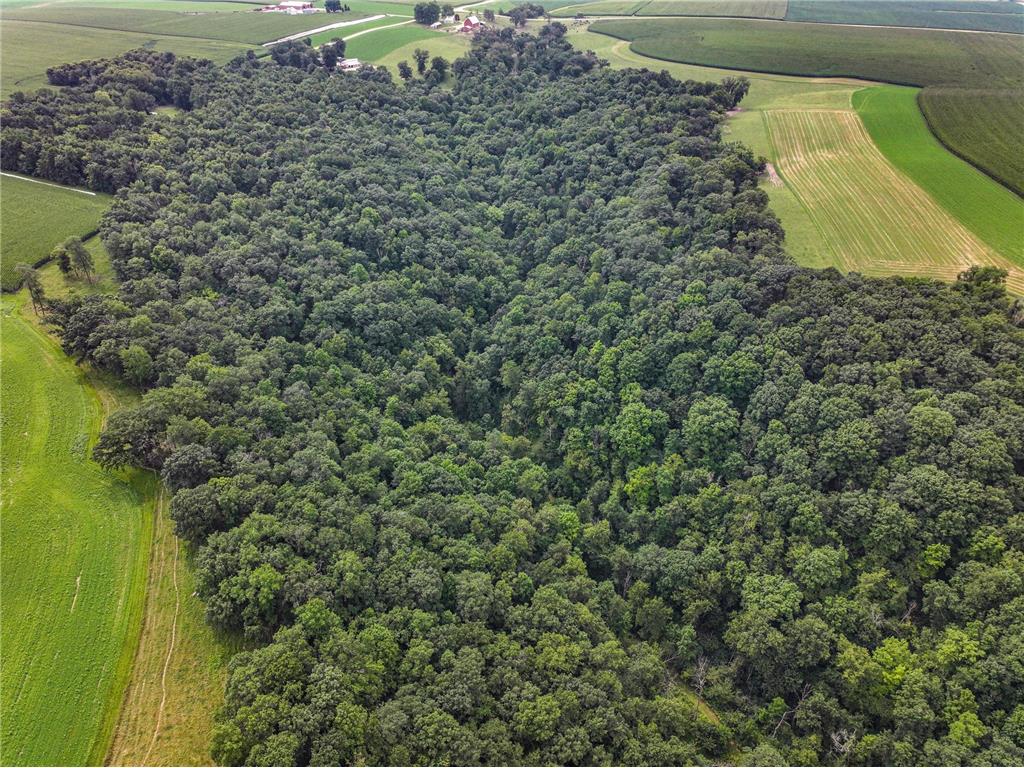 26085 Frank Hill Road Winona MN 55987 6773967 image57