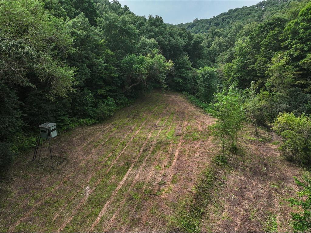 26085 Frank Hill Road Winona MN 55987 6773967 image59