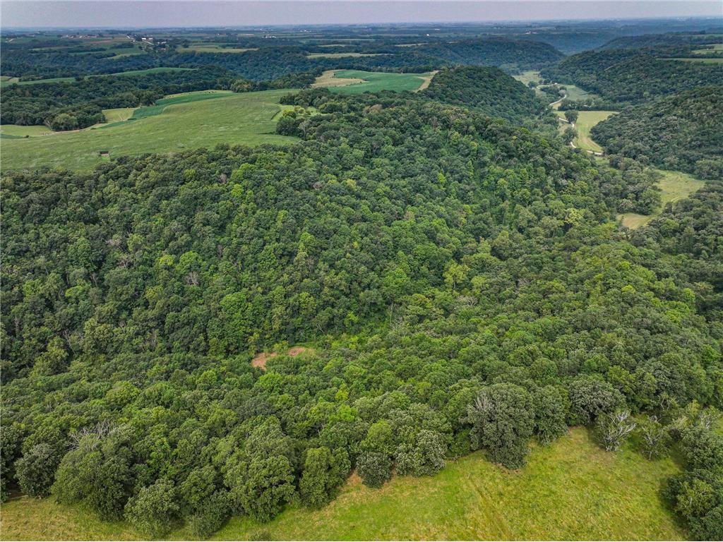 26085 Frank Hill Road Winona MN 55987 6773967 image60