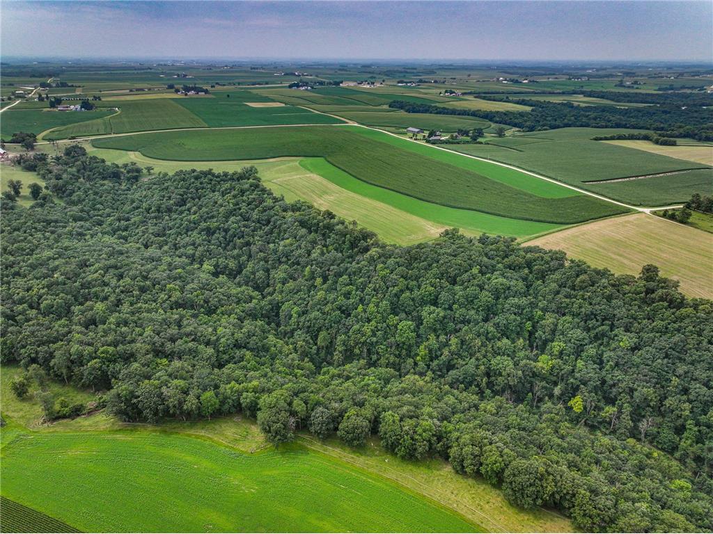 26085 Frank Hill Road Winona MN 55987 6773967 image62