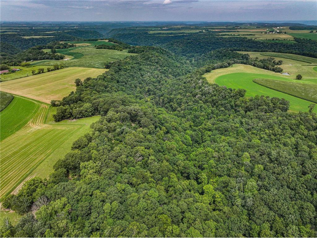 26085 Frank Hill Road Winona MN 55987 6773967 image64