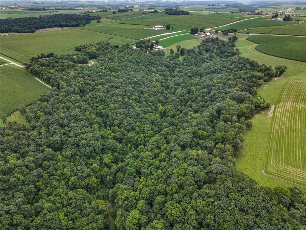 26085 Frank Hill Road Winona MN 55987 6773967 image65