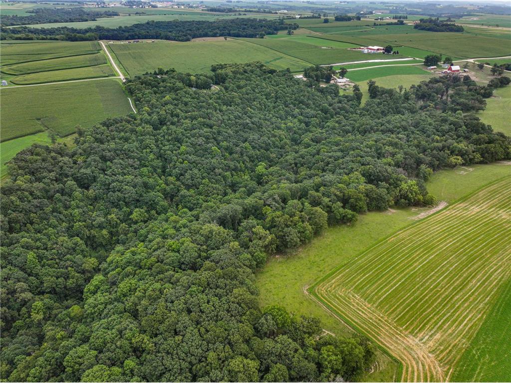 26085 Frank Hill Road Winona MN 55987 6773967 image66