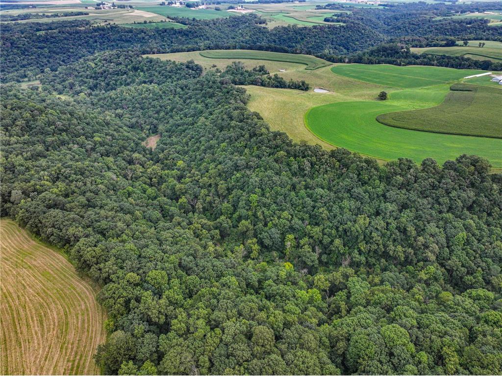 26085 Frank Hill Road Winona MN 55987 6773967 image67