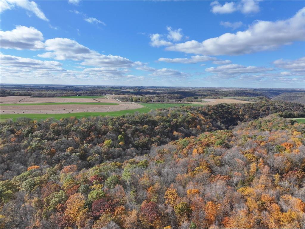 26085 Frank Hill Road Winona MN 55987 7023570 image43