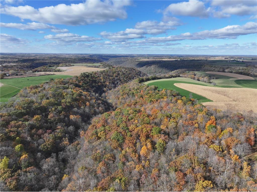 26085 Frank Hill Road Winona MN 55987 7023570 image45