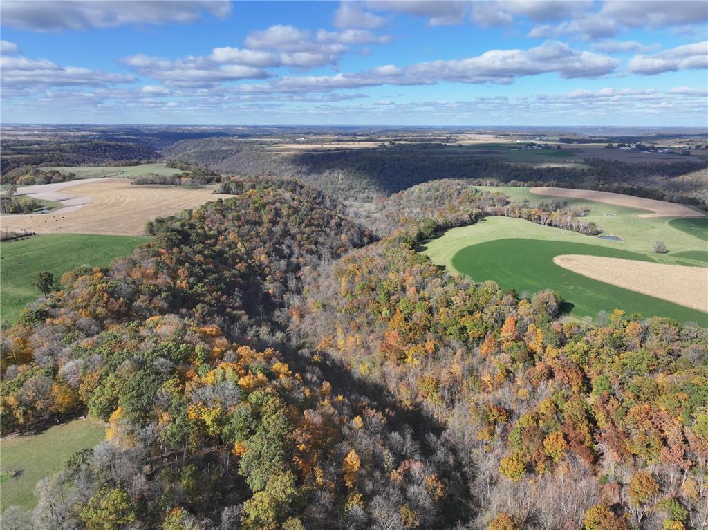 26085 Frank Hill Road Winona MN 55987 7023570 image5