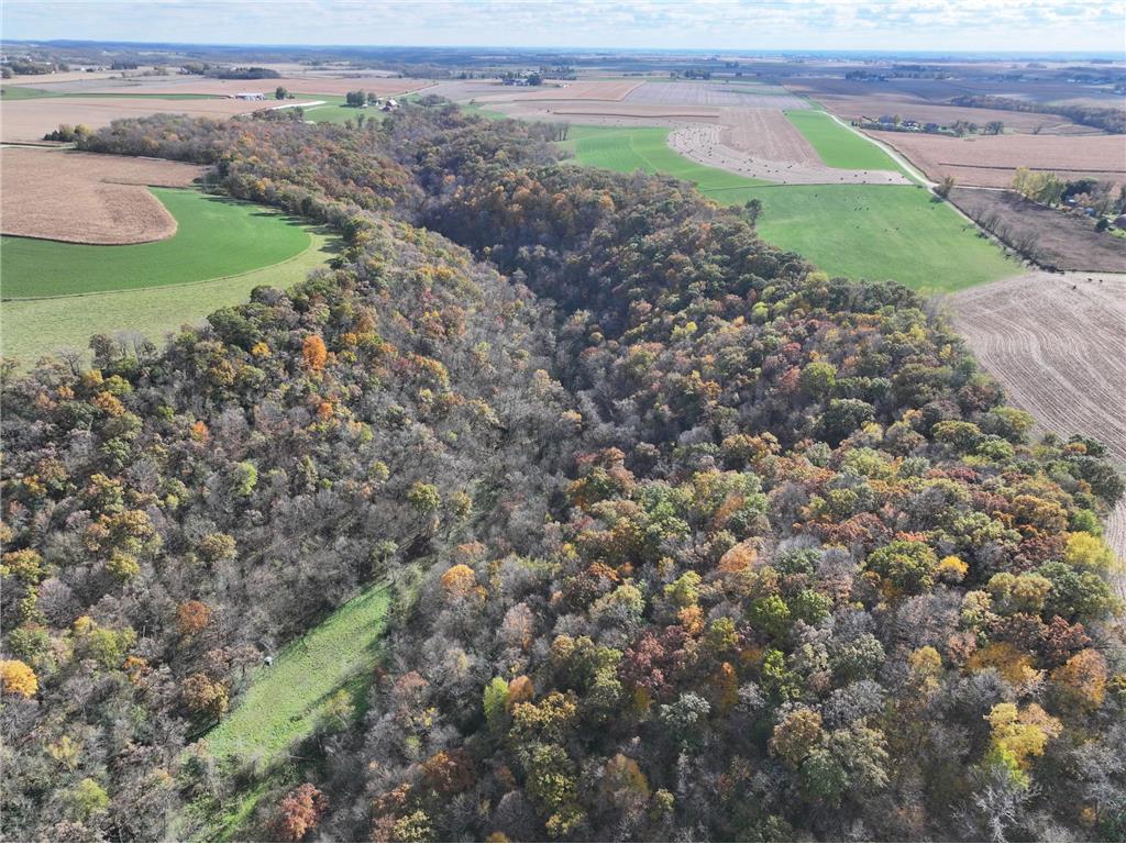 26085 Frank Hill Road Winona MN 55987 7023570 image50