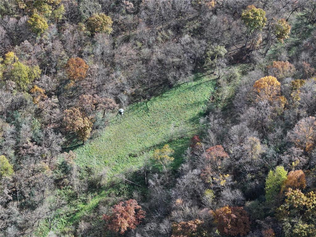 26085 Frank Hill Road Winona MN 55987 7023570 image51