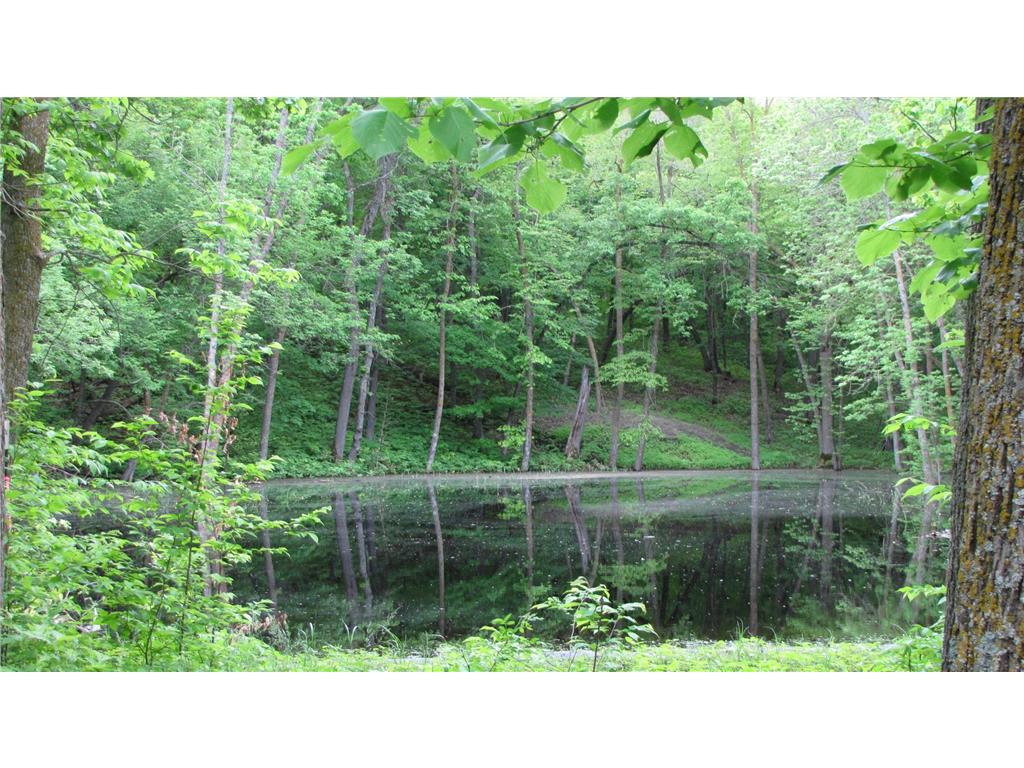 26088 Broadway Avenue Holmesville Twp MN 56501 - Spring Lake 7005933 image8