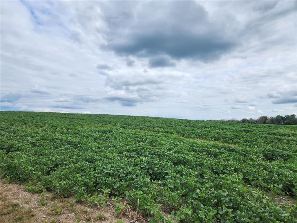 260th Street New Market Twp MN 55020 6503737 image1