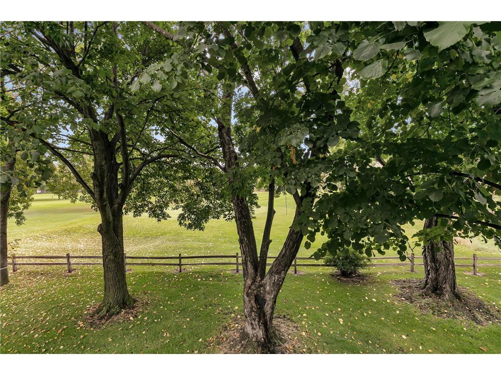 261 Park Avenue S Saint Cloud MN 56301 6789729 image26