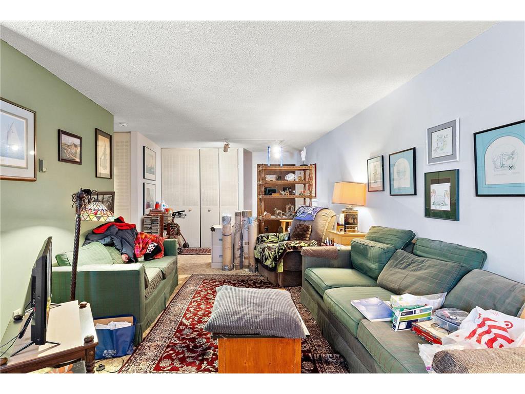 2610 Garfield Avenue #101 Minneapolis MN 55408 6826221 image3