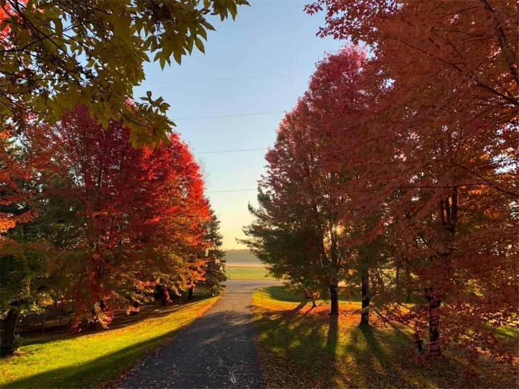 26129 County Road 2 Saint Joseph Twp MN 56301 7039078 image6