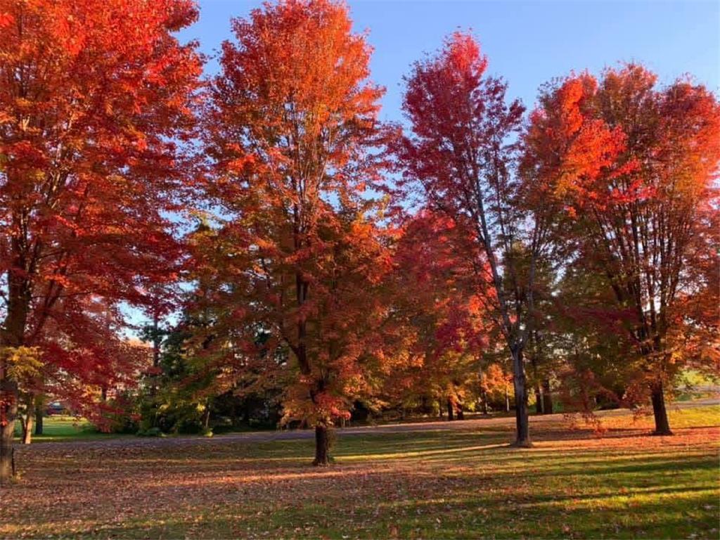 26129 County Road 2 Saint Joseph Twp MN 56301 7039078 image72