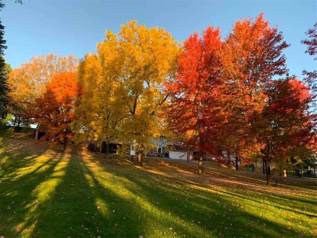 26129 County Road 2 Saint Joseph Twp MN 56301 7039078 image73