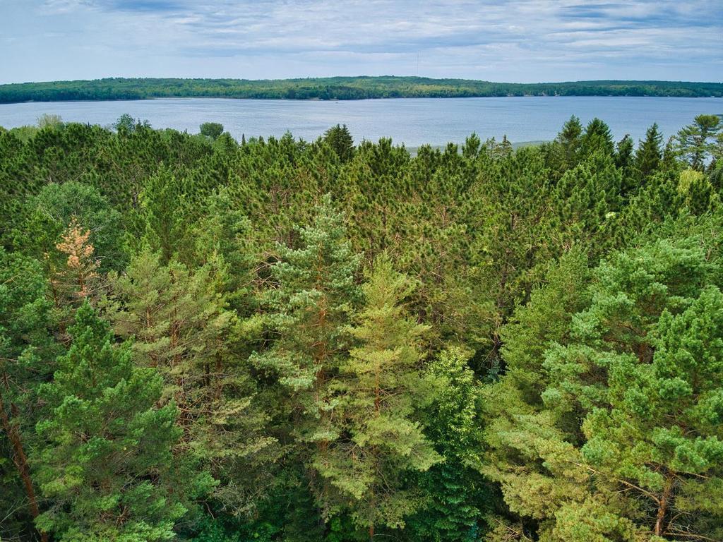 26137 Aspen Drive Trout Lake Twp MN 55709 - Trout 7099589 image35