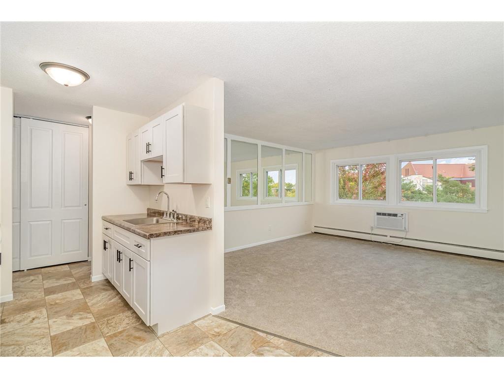2616 Harriet Avenue #303 Minneapolis MN 55408 7057103 image5