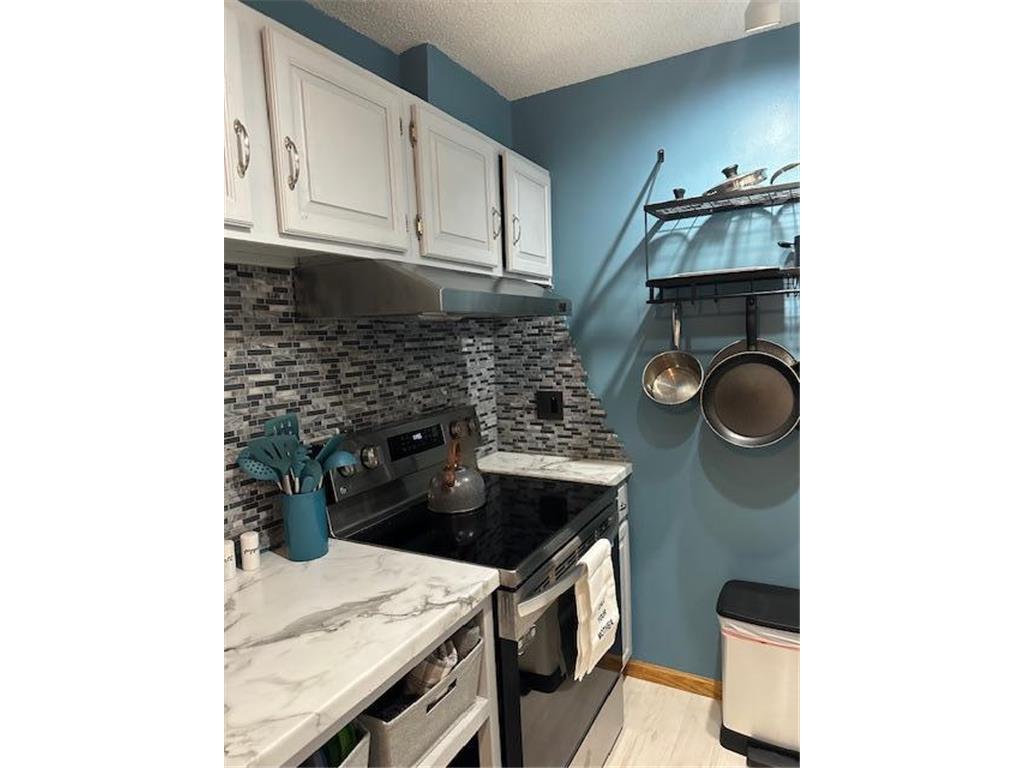 2616 Harriet Avenue #305 Minneapolis MN 55408 6585982 image1