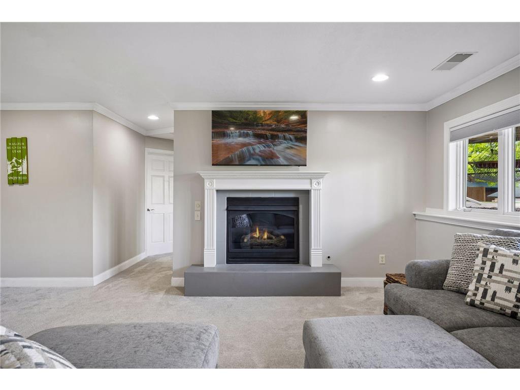 2617 Cardinal Way Buffalo MN 55313 - Pulaski 7077649 image42