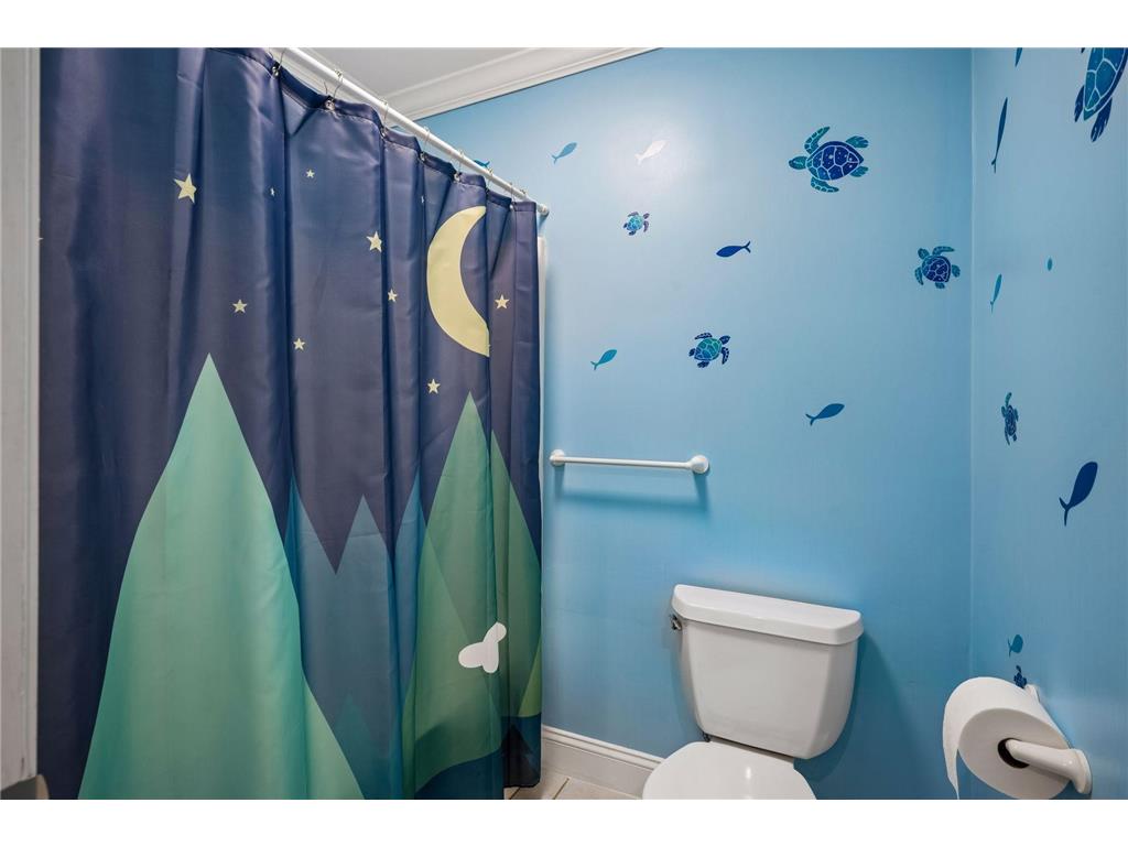 2617 Cardinal Way Buffalo MN 55313 - Pulaski 7077649 image47