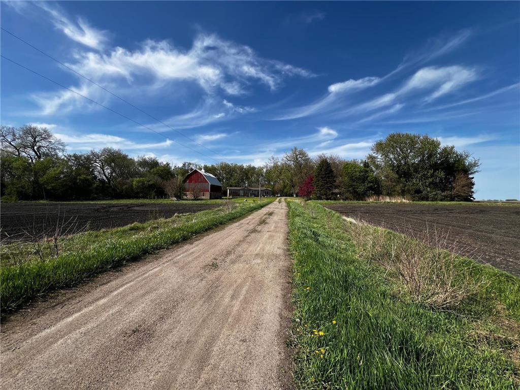 26176 County Road 11 Renville MN 56284 7108348 image2