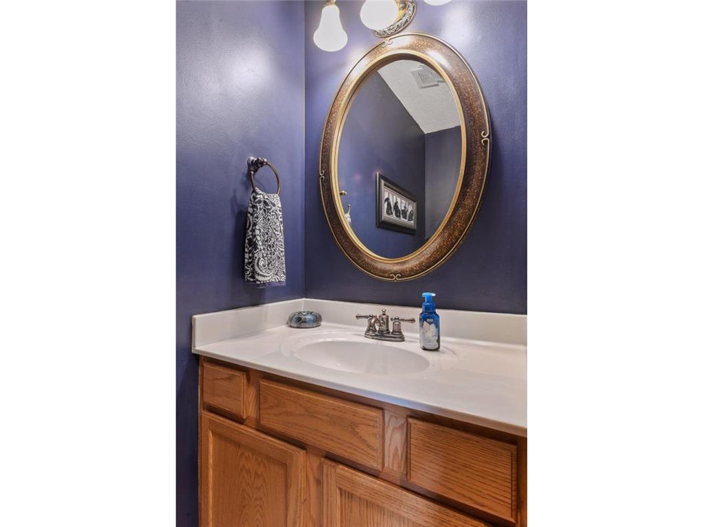 2619 Rachel Court Chaska MN 55318 7064237 image24