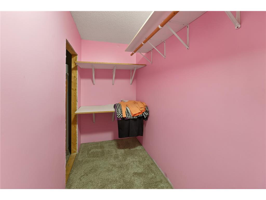26215 Pelkey Creek Road Barry Twp MN 55037 7073199 image25