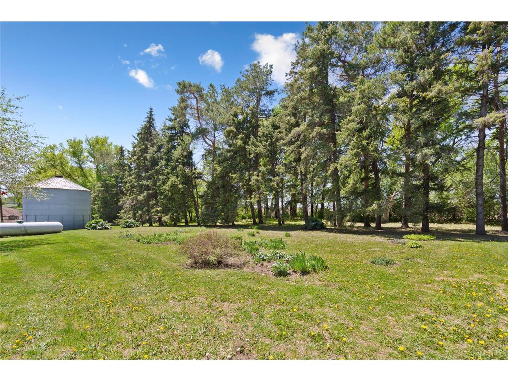 26251 590th St Mantorville Twp MN 55955 7074387 image5
