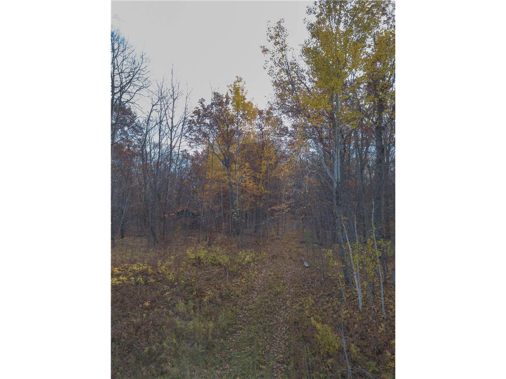 26259 County Road 26 Garrison MN 56450 6808846 image3